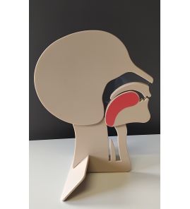 Coupe de tête