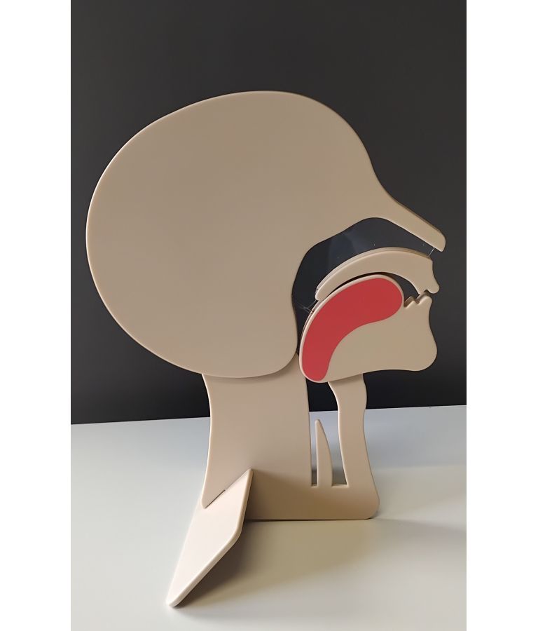 Coupe de tête