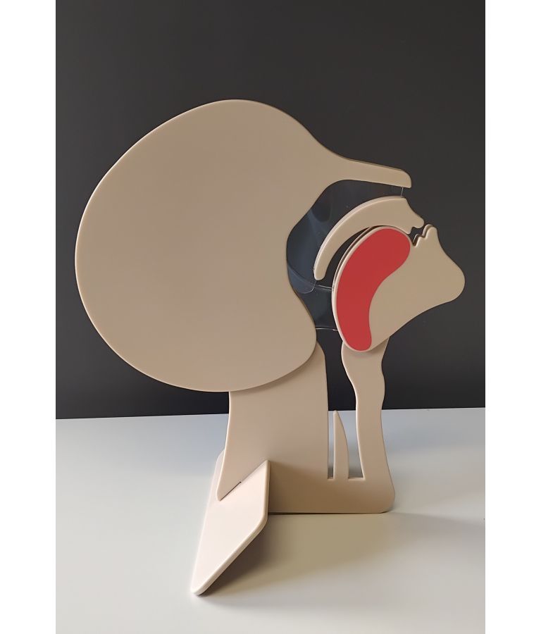 Coupe de tête